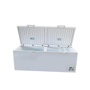 PHIYOND BD-850 713L Double Door Deep Freezer Chest Freezer